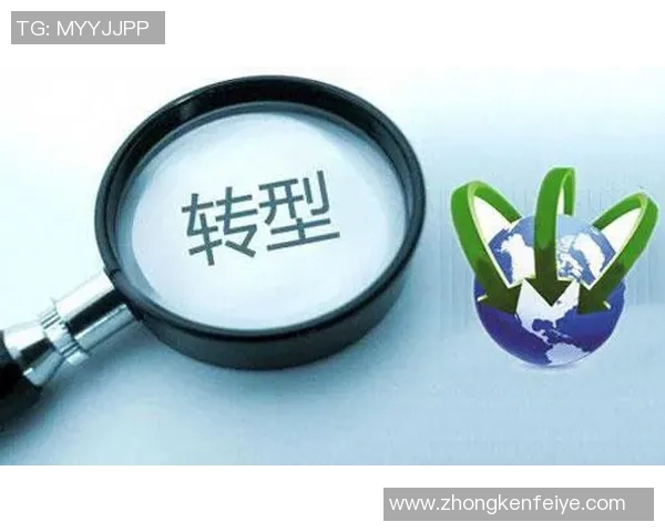 上海网球队的转型之路：探索网球深度与未来发展新机遇